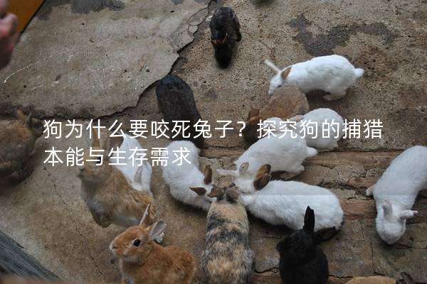 狗为什么要咬死兔子？探究狗的捕猎本能与生存需求