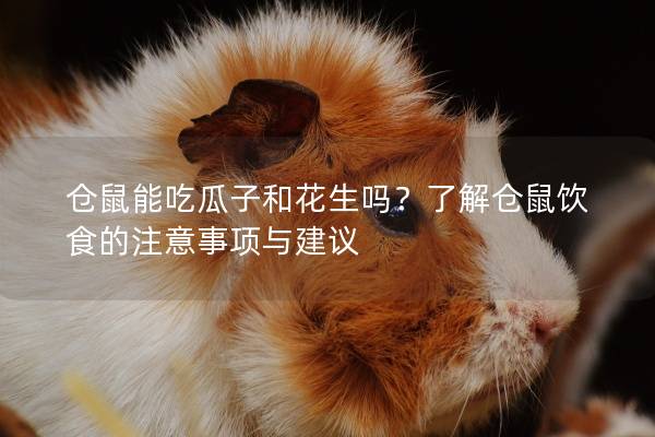 仓鼠能吃瓜子和花生吗？了解仓鼠饮食的注意事项与建议