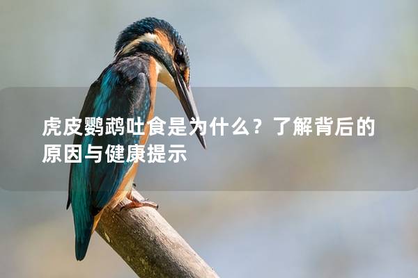 虎皮鹦鹉吐食是为什么？了解背后的原因与健康提示