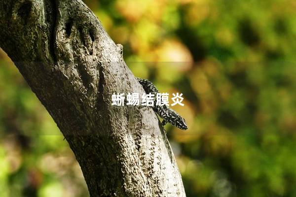 蜥蜴结膜炎