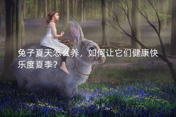 兔子夏天怎么养，如何让它们健康快乐度夏季？