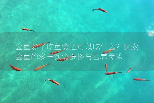 金鱼除了吃鱼食还可以吃什么？探索金鱼的多样饮食选择与营养需求