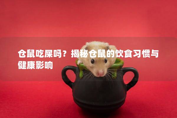 仓鼠吃屎吗？揭秘仓鼠的饮食习惯与健康影响