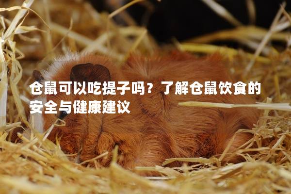 仓鼠可以吃提子吗？了解仓鼠饮食的安全与健康建议