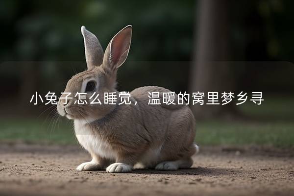 小兔子怎么睡觉，温暖的窝里梦乡寻