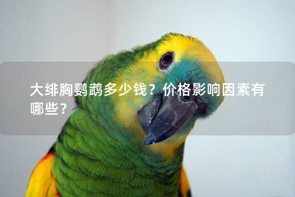 大绯胸鹦鹉多少钱？价格影响因素有哪些？