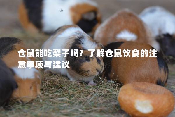 仓鼠能吃梨子吗？了解仓鼠饮食的注意事项与建议