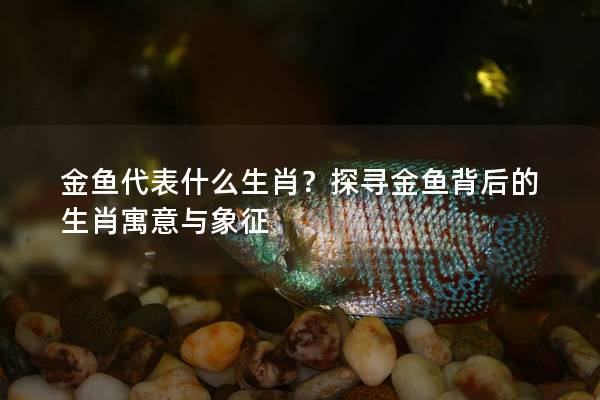 金鱼代表什么生肖？探寻金鱼背后的生肖寓意与象征
