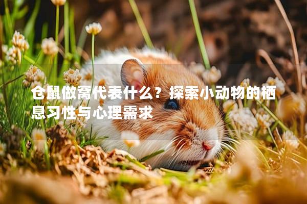 仓鼠做窝代表什么？探索小动物的栖息习性与心理需求