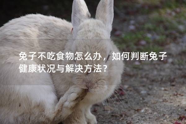 兔子不吃食物怎么办，如何判断兔子健康状况与解决方法？