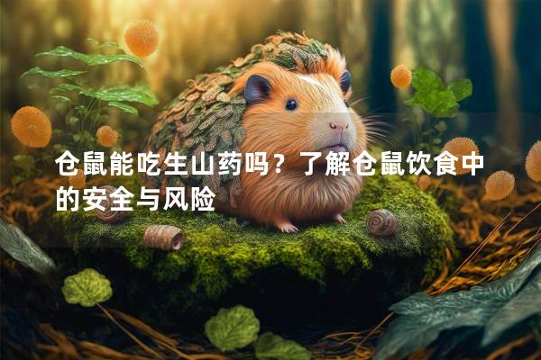仓鼠能吃生山药吗？了解仓鼠饮食中的安全与风险