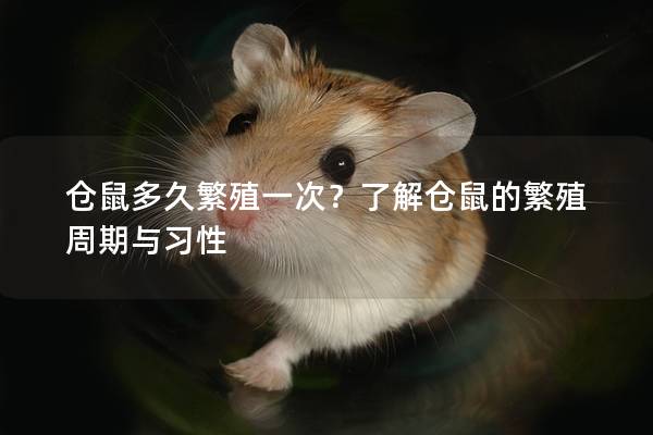 仓鼠多久繁殖一次？了解仓鼠的繁殖周期与习性