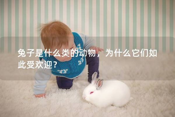 兔子是什么类的动物，为什么它们如此受欢迎？