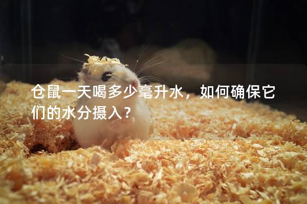 仓鼠一天喝多少毫升水，如何确保它们的水分摄入？