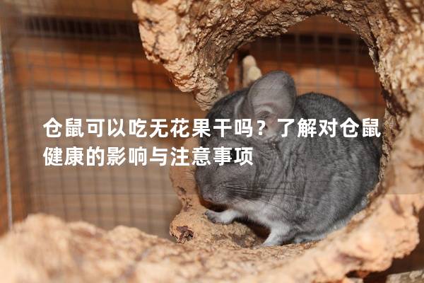 仓鼠可以吃无花果干吗？了解对仓鼠健康的影响与注意事项