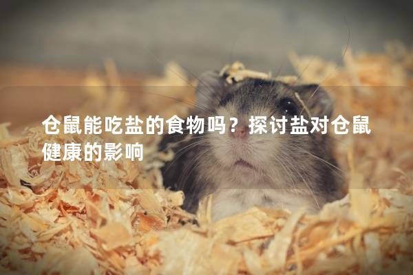 仓鼠能吃盐的食物吗？探讨盐对仓鼠健康的影响