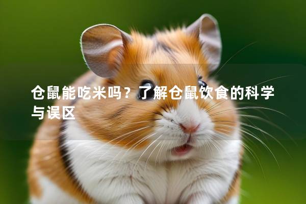 仓鼠能吃米吗？了解仓鼠饮食的科学与误区