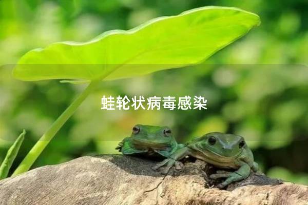 蛙轮状病毒感染