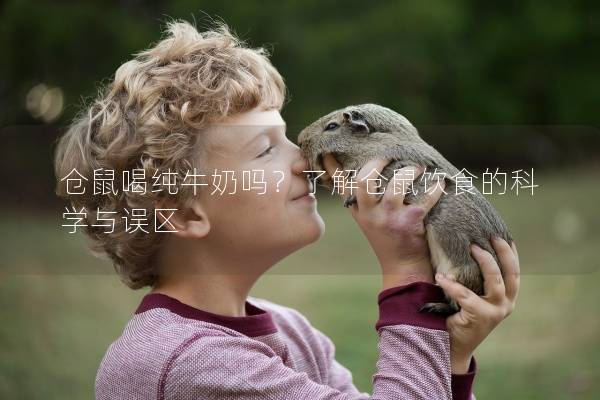 仓鼠喝纯牛奶吗？了解仓鼠饮食的科学与误区