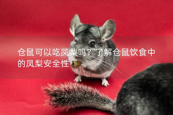 仓鼠可以吃凤梨吗？了解仓鼠饮食中的凤梨安全性