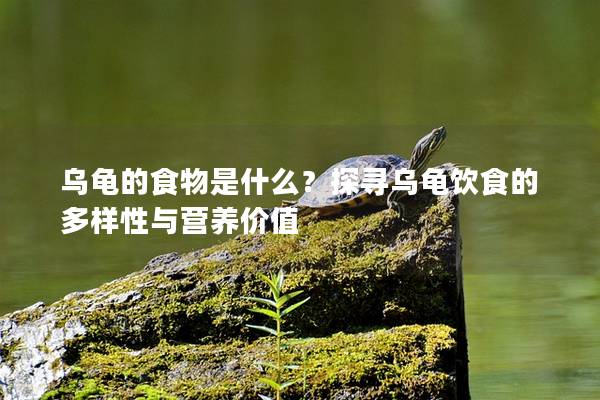 乌龟的食物是什么？探寻乌龟饮食的多样性与营养价值