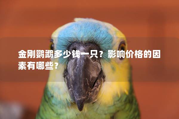 金刚鹦鹉多少钱一只？影响价格的因素有哪些？