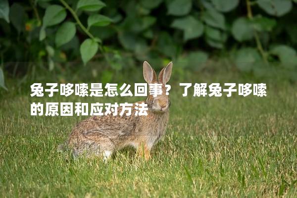 兔子哆嗦是怎么回事？了解兔子哆嗦的原因和应对方法
