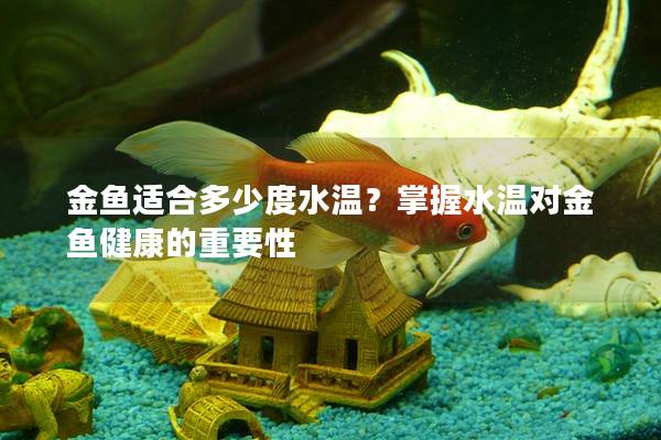 金鱼适合多少度水温？掌握水温对金鱼健康的重要性
