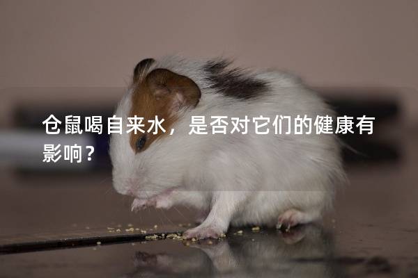 仓鼠喝自来水，是否对它们的健康有影响？