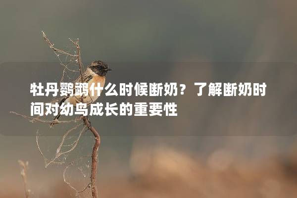 牡丹鹦鹉什么时候断奶？了解断奶时间对幼鸟成长的重要性