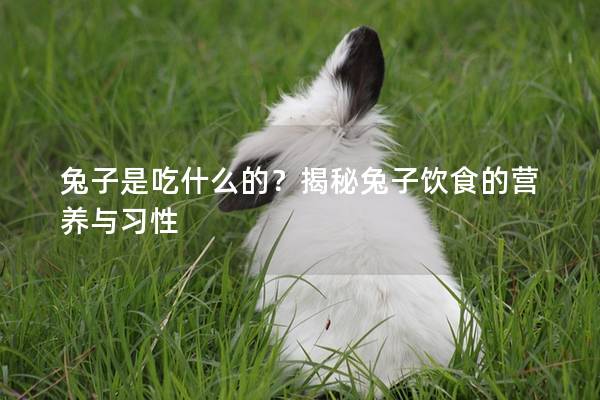 兔子是吃什么的？揭秘兔子饮食的营养与习性