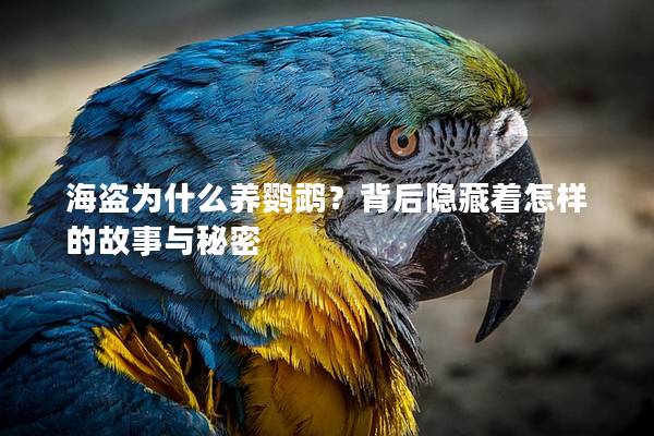 海盗为什么养鹦鹉？背后隐藏着怎样的故事与秘密