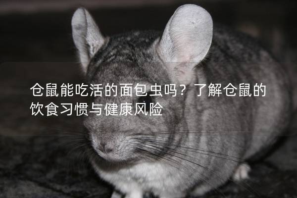 仓鼠能吃活的面包虫吗？了解仓鼠的饮食习惯与健康风险