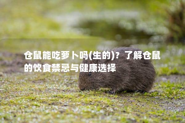 仓鼠能吃萝卜吗(生的)？了解仓鼠的饮食禁忌与健康选择