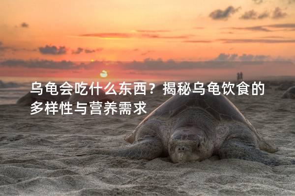 乌龟会吃什么东西？揭秘乌龟饮食的多样性与营养需求