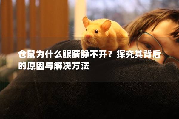 仓鼠为什么眼睛睁不开？探究其背后的原因与解决方法