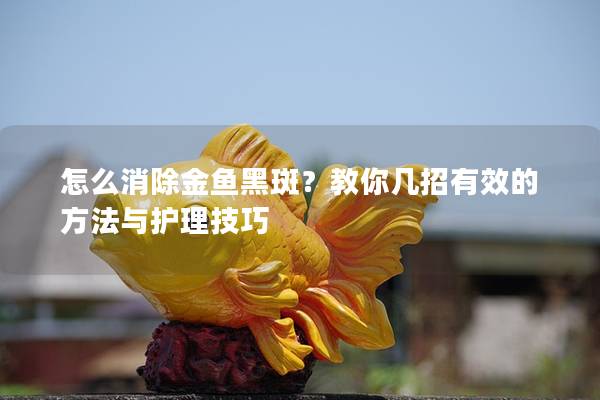 怎么消除金鱼黑斑？教你几招有效的方法与护理技巧