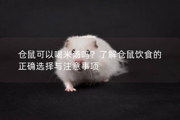 仓鼠可以喝米汤吗？了解仓鼠饮食的正确选择与注意事项