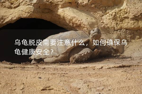 乌龟脱皮需要注意什么，如何确保乌龟健康安全？