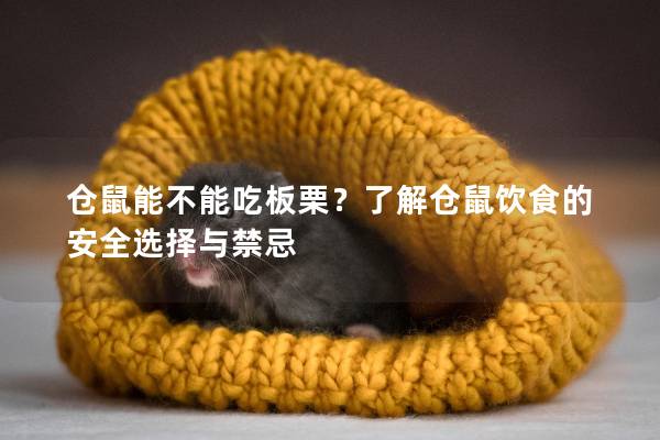 仓鼠能不能吃板栗？了解仓鼠饮食的安全选择与禁忌