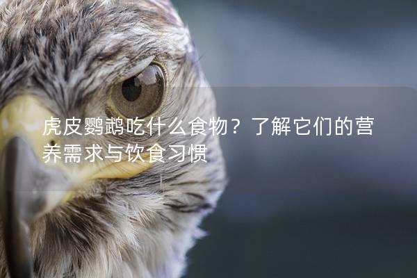 虎皮鹦鹉吃什么食物？了解它们的营养需求与饮食习惯