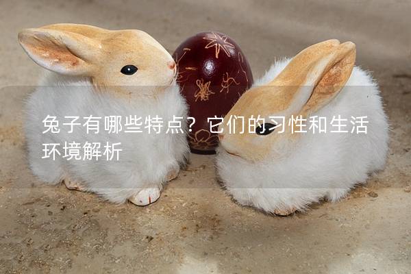 兔子有哪些特点？它们的习性和生活环境解析