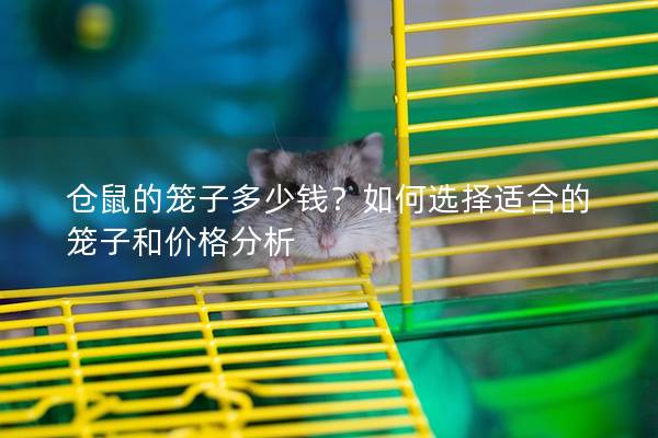 仓鼠的笼子多少钱？如何选择适合的笼子和价格分析