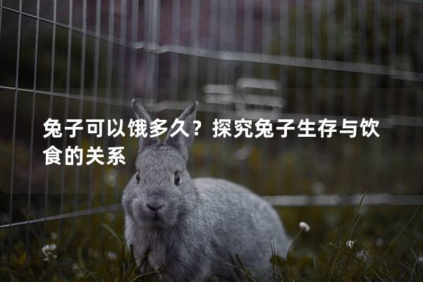 兔子可以饿多久？探究兔子生存与饮食的关系
