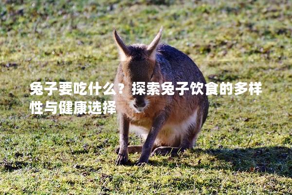 兔子要吃什么？探索兔子饮食的多样性与健康选择