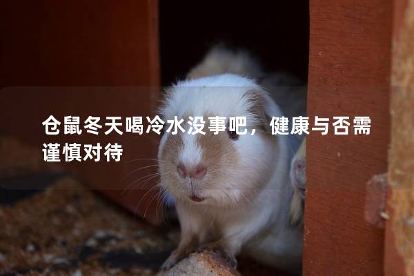 仓鼠冬天喝冷水没事吧，健康与否需谨慎对待