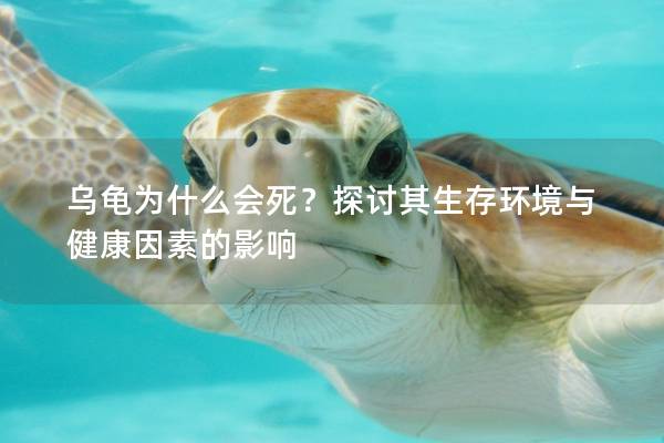 乌龟为什么会死？探讨其生存环境与健康因素的影响