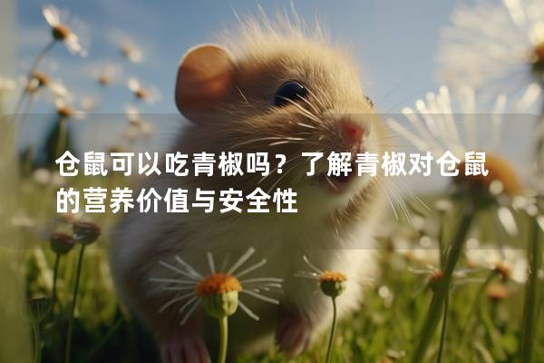 仓鼠可以吃青椒吗？了解青椒对仓鼠的营养价值与安全性
