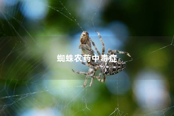 蜘蛛农药中毒症