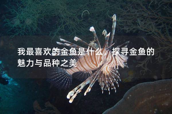 我最喜欢的金鱼是什么，探寻金鱼的魅力与品种之美